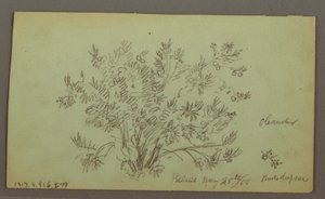 素描，男子头部，吸烟男子，帆船研究，房屋，1868 年 5 月 27 日 作者 弗雷德里克·埃德温·丘奇