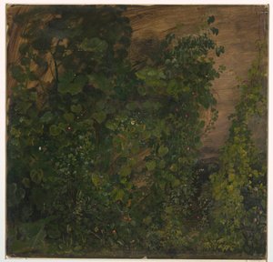 绘画，丛林植被，1865年 作者 弗雷德里克·埃德温·丘奇