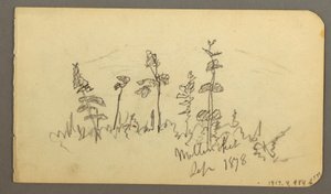 素描，向卡塔丁山望去的湖，1878 年 作者 弗雷德里克·埃德温·丘奇