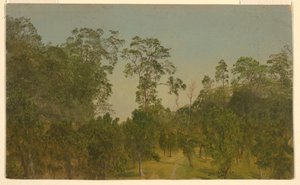 素描，风景，1865 年 7 月 作者 弗雷德里克·埃德温·丘奇
