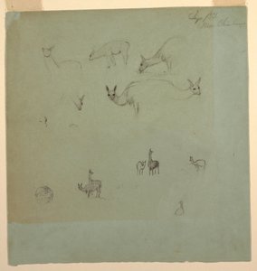绘画，"钦博拉索 "附近的喇嘛，厄瓜多尔，1853 年 9 月 作者 弗雷德里克·埃德温·丘奇