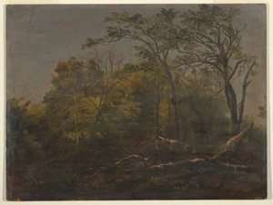 绘画，缅因州森林，1845-55 年 作者 弗雷德里克·埃德温·丘奇