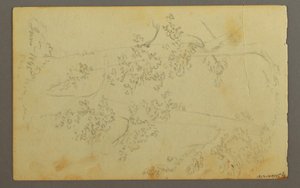 绘图，树木环绕的磨坊，1845 年 作者 弗雷德里克·埃德温·丘奇