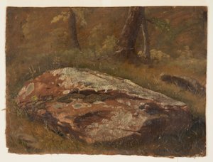 绘画，苔藓岩，1845 年 8 月 作者 弗雷德里克·埃德温·丘奇