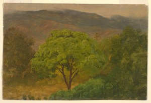 素描，山区风景，1865 年 8 月 作者 弗雷德里克·埃德温·丘奇