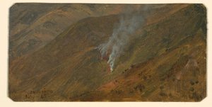素描，山坡上的刷火，1865 年 6 月 作者 弗雷德里克·埃德温·丘奇
