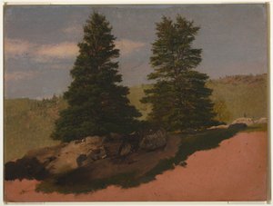 素描，新英格兰风景（两棵松树），1850 年 作者 弗雷德里克·埃德温·丘奇