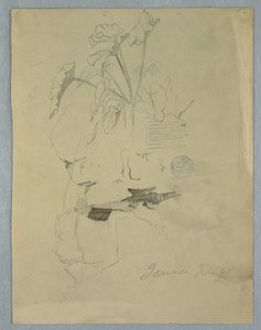图画，生长在岩石上方的菲洛德林[]，牙买加，1865 年 6 月 作者 弗雷德里克·埃德温·丘奇