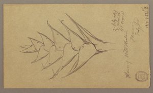 素描，海景，1865 年 4 月 29 日 作者 弗雷德里克·埃德温·丘奇