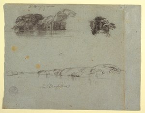 素描，《树木、藤蔓和马格达莱纳河岸素描》，哥伦比亚，1853 年，可能是 5 月 作者 弗雷德里克·埃德温·丘奇
