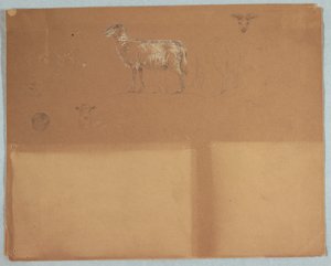 素描，绵羊研究，厄瓜多尔或哥伦比亚，1853 年 作者 弗雷德里克·埃德温·丘奇