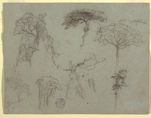 素描，《树木研究》，厄瓜多尔，1853 年 作者 弗雷德里克·埃德温·丘奇