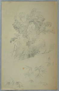 素描，《树木和枝桠研究》，牙买加，1865 年 8 月 作者 弗雷德里克·埃德温·丘奇