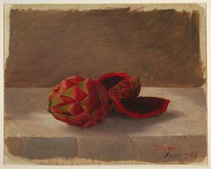 绘画，《皮塔加亚水果》，哥伦比亚，1853 年 6 月 作者 弗雷德里克·埃德温·丘奇