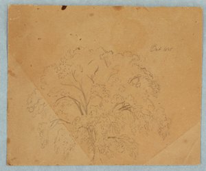 素描，树；背面：教堂景观，1636 年的两位英国妇女，一匹马的研究，1845 年 10 月 作者 弗雷德里克·埃德温·丘奇