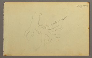 绘画，树根，1844 年 作者 弗雷德里克·埃德温·丘奇
