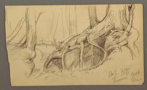 素描，巨石上生长的树根（特纳山），1877 年 作者 弗雷德里克·埃德温·丘奇