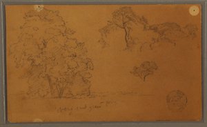 绘画，树木，1857 年 作者 弗雷德里克·埃德温·丘奇