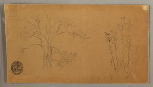 绘画，树木和植物，埃利坎佩，1856 年 9 月 作者 弗雷德里克·埃德温·丘奇