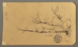 素描，树木，巨石，1878 年 作者 弗雷德里克·埃德温·丘奇