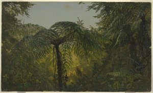 素描，热带风景，1865 年 6 月或 7 月 作者 弗雷德里克·埃德温·丘奇