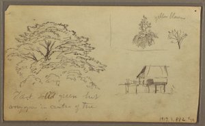 素描，厄瓜多尔瓜亚基尔风景，1857 年 5 月 23 日 作者 弗雷德里克·埃德温·丘奇