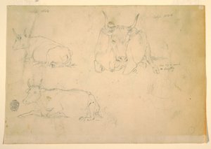 素描，蹲着的牛的视图，1844 年 9 月 作者 弗雷德里克·埃德温·丘奇