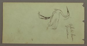 素描，白鹭，可能创作于 1869 年 作者 弗雷德里克·埃德温·丘奇