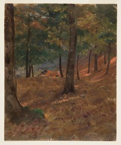 素描，林地场景，1870-80 年 作者 弗雷德里克·埃德温·丘奇