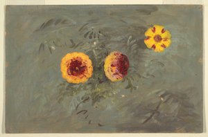 素描，紫荆花，1860-70 年 作者 弗雷德里克·埃德温·丘奇
