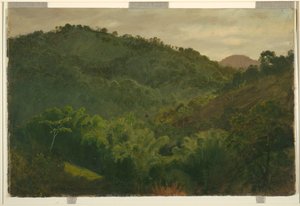 来自牙买加的风景 作者 弗雷德里克·埃德温·丘奇