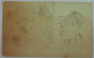 对牙买加树梢和竹子的研究 作者 弗雷德里克·埃德温·丘奇