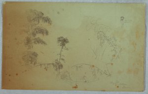 带竹子细节的树木研究和一个头顶香蕉的男子的小细节，牙买加贝尔维尤 作者 弗雷德里克·埃德温·丘奇