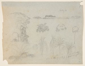 带树梢、树木、五种植物设计和遥远岛屿的书房 作者 弗雷德里克·埃德温·丘奇