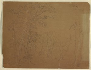 加拿大大马南岛的树木 作者 弗雷德里克·埃德温·丘奇