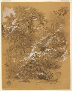 林地风景，山羊岛，尼亚加拉河，纽约州 作者 弗雷德里克·埃德温·丘奇