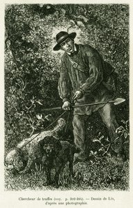 一个寻找松露的人。利克斯为故事《穿越阿尔萨斯和洛林》绘制的版画，作者是德国人查尔斯-格拉德，1884年，收录在爱德华-沙尔东（1807-1890）导演的《1886年世界之旅》中，巴黎哈歇特出版社。