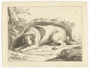 西班牙猎犬
亚伯拉罕-布洛马特的画册（系列名称）