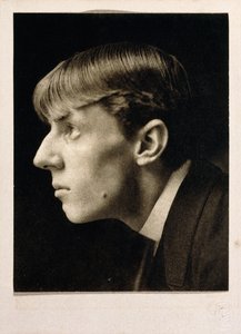 奥布里·比兹利（Aubrey Beardsley） 作者 弗雷德里克·亨利·埃文斯