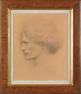 Ignacy Jan Paderewski（铂金版） 作者 弗雷德里克·霍利尔