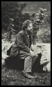 威廉·莫里斯（1834-96）的肖像照片作者：弗雷德里克·霍利尔（1837-1933）（棕褐色照片） 作者 弗雷德里克·霍利尔