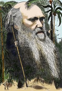 查尔斯·达尔文（Charles DARWIN，1809-1882）在 1873 年的“每周一次”中对 F. Waddy 的漫画。