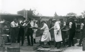 1925年6月由伦敦动物园的动物学会工作人员的11名成员携带20英尺长的Python 作者 弗雷德里克·威廉·邦德