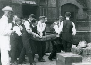 1924年，伦敦动物园的彼得·查默斯·米切尔爵士观看了一队鳄鱼 作者 弗雷德里克·威廉·邦德