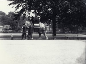 1914年5月，亚洲大象&39;Jessie&39;搭乘两位女士和一名小孩，同时由伦敦动物园的守门人率领 作者 弗雷德里克·威廉·邦德