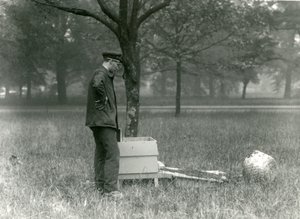 Keeper Brown移动了一群蜜蜂，伦敦动物园，1926年7月 作者 弗雷德里克·威廉·邦德
