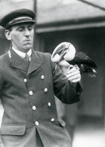 1924年，守护者托马斯·拉格特（Thomas Raggett）在伦敦动物园举行了一只红嘴巨嘴鸟，里面有一个鸡蛋 作者 弗雷德里克·威廉·邦德