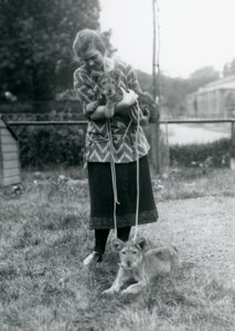 与一个少妇的两只幼狮在伦敦动物园在1925年8月 作者 弗雷德里克·威廉·邦德