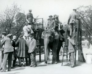 1927年，伦敦动物园的五位饲养员帮忙，其他人出发前往大象骑行的游客 作者 弗雷德里克·威廉·邦德