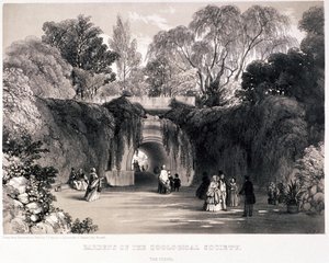 动物园，摄政公园，马里波恩，伦敦，约1840年 作者 弗雷德里克·威廉·赫尔姆